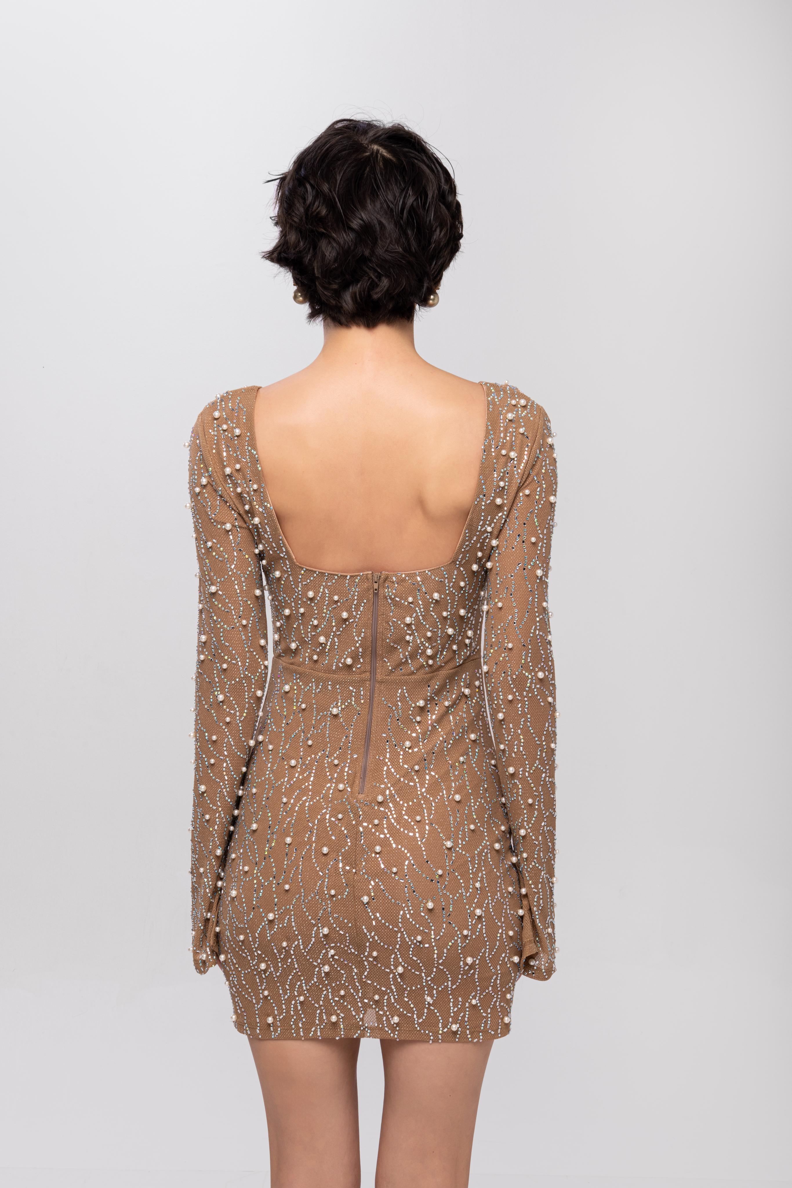 Full sleeve Embellished Mini Dress Brown